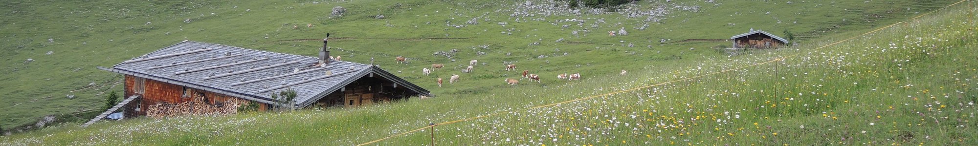 Das Verhalten von Menschen in der Natur, das Verhalten gegenüber Wildtieren