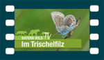 Unterwegs im Trischfilz