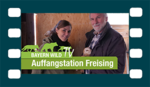 Zu Besuch in der Greifvogel-Auffangstation Freising