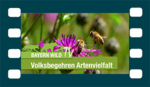 Dr. Segerer zum Volksbegehren Rettet die Bienen!