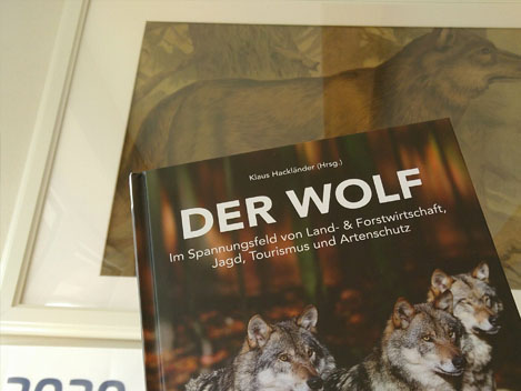 Der Wolf im Spannungsfeld