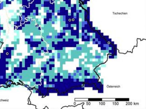 Wölfe in Deutschland – Neues Rudel in Bayern