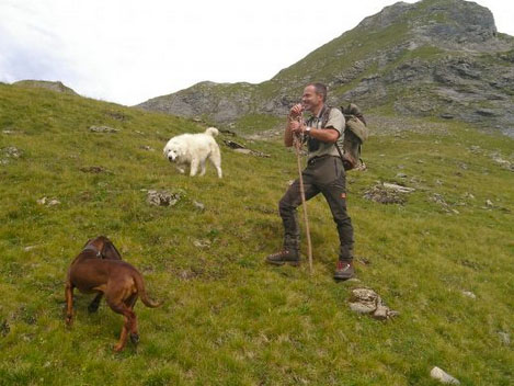 Herdenschutz in der Schweiz