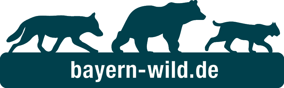 Logo Bayern wild und Webadresse