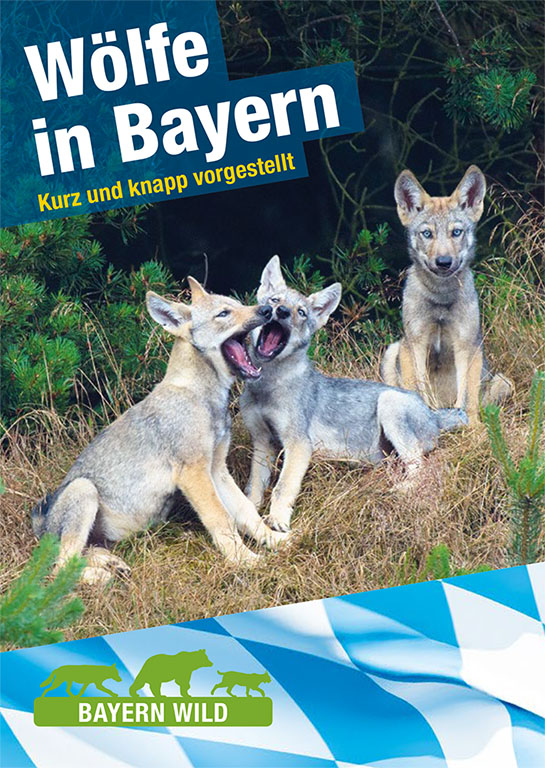 Flyer über Wölfe in Bayern – Infomaterial über Wölfe