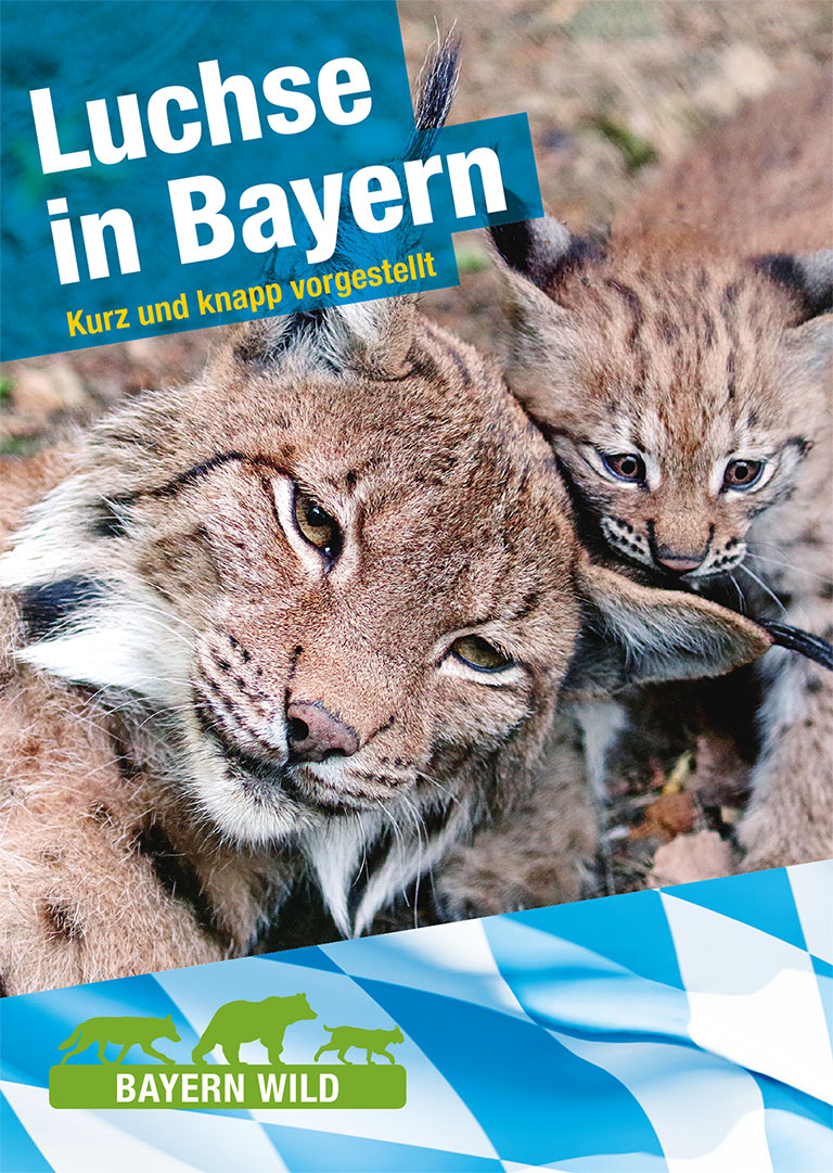 Cover des Flyers Luchse in Bayern